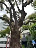 太田姫稲荷神社(東京都)