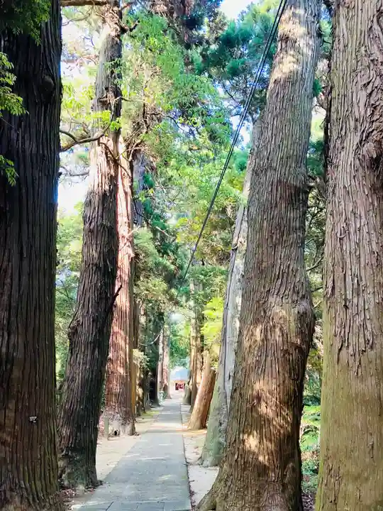 日吉神社(千葉県)