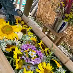 竹神社の手水