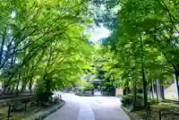 宇治上神社(京都府)