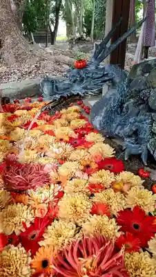 清洲山王宮　日吉神社(愛知県)