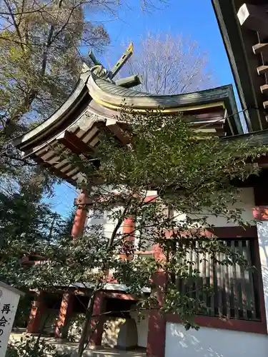 川越八幡宮の本殿