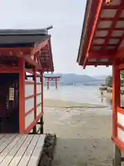 厳島神社の鳥居