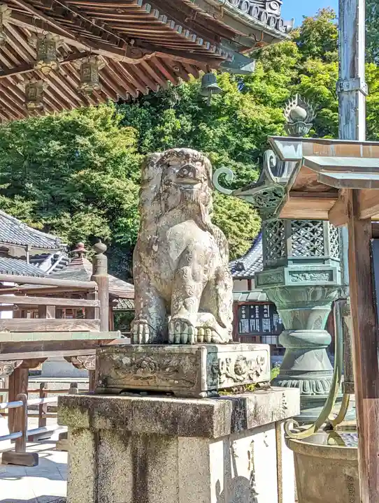 柳谷観音 楊谷寺(京都府)
