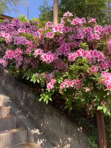 住吉神社(東京都)
