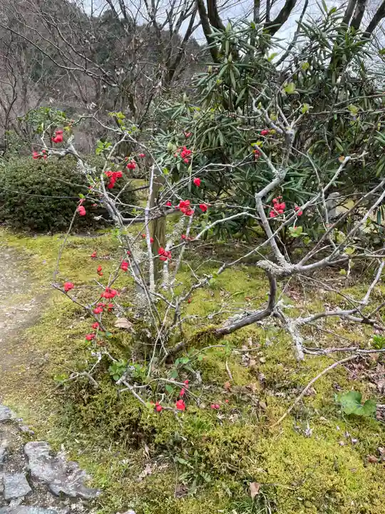 三室戸寺(京都府)