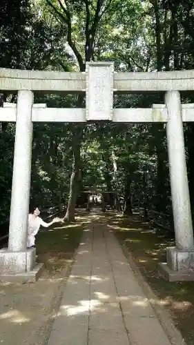 喜多見氷川神社の鳥居