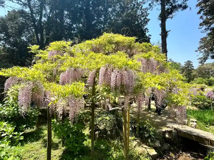 歌泉堂(春日大社神苑萬葉植物園内鎮座)(奈良県)