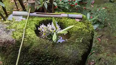 安楽寺(京都府)