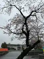 素鵞神社(茨城県)
