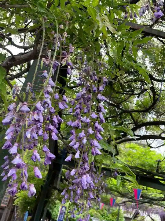 國領神社(東京都)