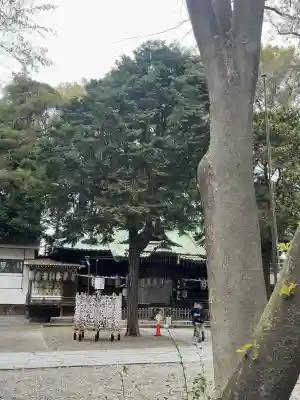 調神社の{uncategorized: "未分類", other: "その他", undefined: "問題あり", building: "その他建物", grave: "お墓", sacred_gate: "鳥居", guardian: "狛犬", statue: "像", buddha: "仏像", history: "歴史", nature: "自然", garden: "庭園", animal: "動物", pagoda: "塔", temizu: "手水舎", mountain_gate: "山門・神門", sanctuary: "本殿・本堂", subordinate: "末社・摂社", art: "芸術", scenery: "景色", jizo: "地蔵", ema: "絵馬", goshuin: "御朱印", omikuji: "おみくじ", items: "授与品その他", amulet: "お守り", goshuincho: "御朱印帳", eats: "食事", festival: "お祭り", votive_dance: "神楽", shichigosan: "七五三参", wedding: "結婚式", experience: "体験その他", initially: "初詣", around: "周辺", anti_infection: "感染症対策"}