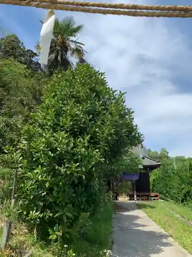 白山神社(群馬県)