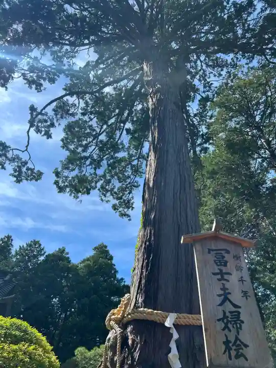 北口本宮冨士浅間神社(山梨県)