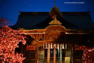 桜神宮(東京都)