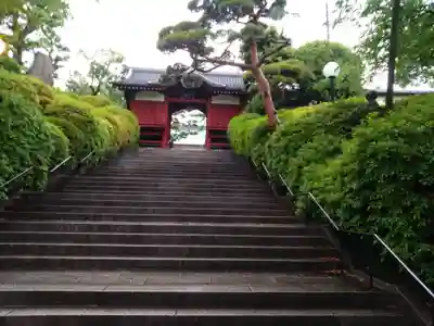 護国寺(東京都)