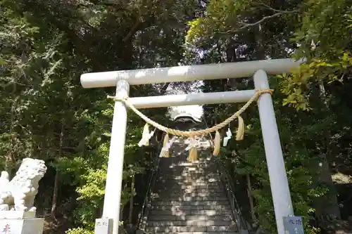 大國魂神社の鳥居