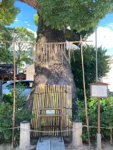 丹生神社(兵庫県)