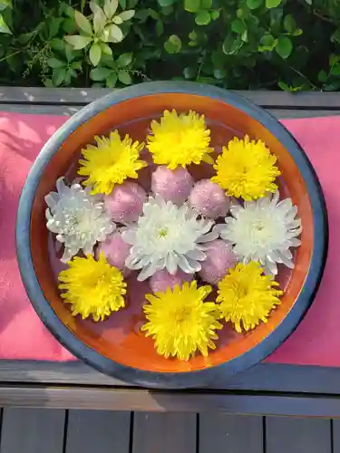 増上寺塔頭 三縁山 宝珠院の手水舎