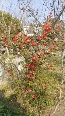 比佐豆知神社(三重県)