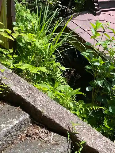 金櫻神社(山梨県)