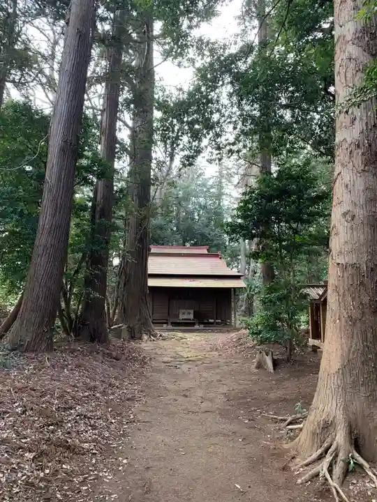 白幡神社(千葉県)