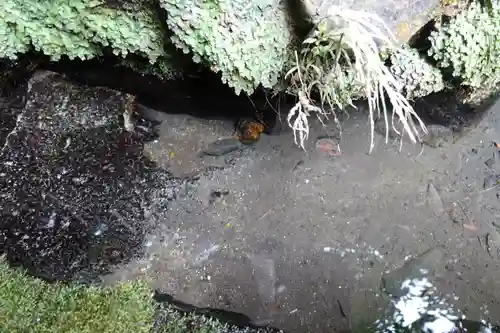 宇治上神社のその他建物