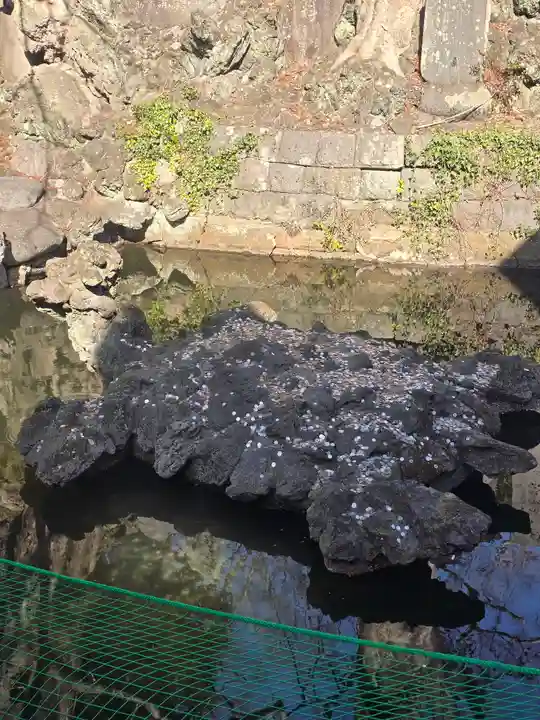 成田山新勝寺(千葉県)