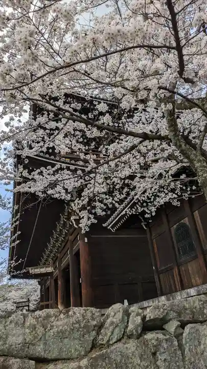 知恩院(京都府)