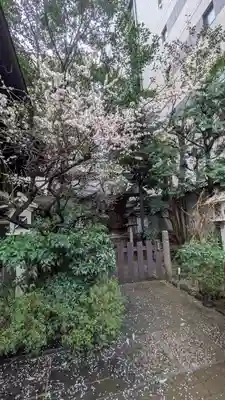 京都大神宮(京都府)