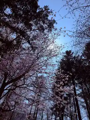 大谷地神社(北海道)