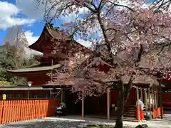 富士山本宮浅間大社(静岡県)