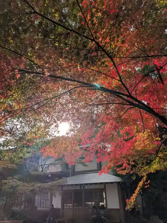 阿佐ヶ谷神明宮(東京都)