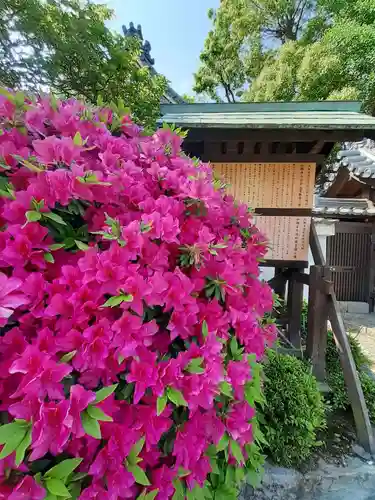 如願寺(大阪府)
