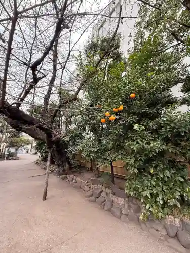 猿江神社の{uncategorized: "未分類", other: "その他", undefined: "問題あり", building: "その他建物", grave: "お墓", sacred_gate: "鳥居", guardian: "狛犬", statue: "像", buddha: "仏像", history: "歴史", nature: "自然", garden: "庭園", animal: "動物", pagoda: "塔", temizu: "手水舎", mountain_gate: "山門・神門", sanctuary: "本殿・本堂", subordinate: "末社・摂社", art: "芸術", scenery: "景色", jizo: "地蔵", ema: "絵馬", goshuin: "御朱印", omikuji: "おみくじ", items: "授与品その他", amulet: "お守り", goshuincho: "御朱印帳", eats: "食事", festival: "お祭り", votive_dance: "神楽", shichigosan: "七五三参", wedding: "結婚式", experience: "体験その他", initially: "初詣", around: "周辺", anti_infection: "感染症対策"}