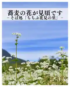 【公式】龍門院常楽寺(秩父札所十一番)(埼玉県)(2025年06月18日(水) 08時10分51秒投稿)