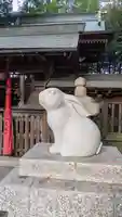 白鬚神社(滋賀県)