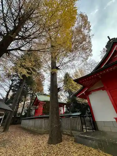 小野神社の自然