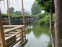 亀戸天神社の庭園