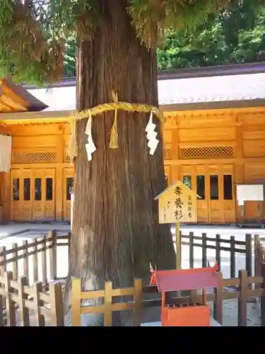 穂高神社本宮の{uncategorized: "未分類", other: "その他", undefined: "問題あり", building: "その他建物", grave: "お墓", sacred_gate: "鳥居", guardian: "狛犬", statue: "像", buddha: "仏像", history: "歴史", nature: "自然", garden: "庭園", animal: "動物", pagoda: "塔", temizu: "手水舎", mountain_gate: "山門・神門", sanctuary: "本殿・本堂", subordinate: "末社・摂社", art: "芸術", scenery: "景色", jizo: "地蔵", ema: "絵馬", goshuin: "御朱印", omikuji: "おみくじ", items: "授与品その他", amulet: "お守り", goshuincho: "御朱印帳", eats: "食事", festival: "お祭り", votive_dance: "神楽", shichigosan: "七五三参", wedding: "結婚式", experience: "体験その他", initially: "初詣", around: "周辺", anti_infection: "感染症対策"}