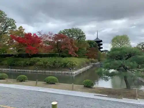 東寺（教王護国寺）の景色