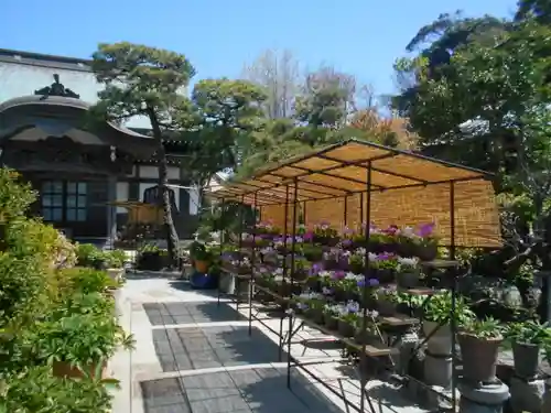 日蓮宗龍口山本龍寺の庭園