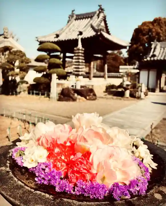 真言宗 善通寺派 薬王寺(香川県)