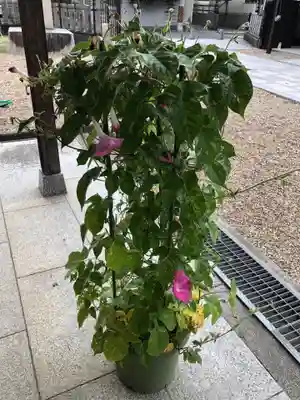 伴林氏神社(大阪府)