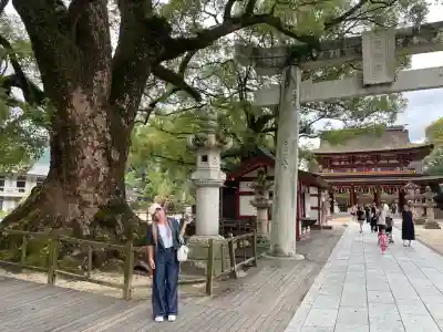 太宰府天満宮の鳥居
