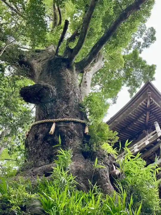 笠森寺(千葉県)