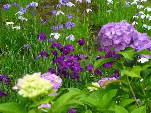 天台宗　長窪山　正覚寺の自然
