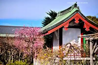 亀戸天神社(東京都)