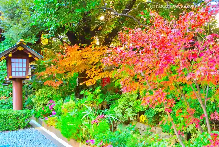 東京大神宮(東京都)