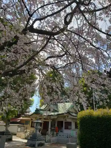 荻窪白山神社(東京都)